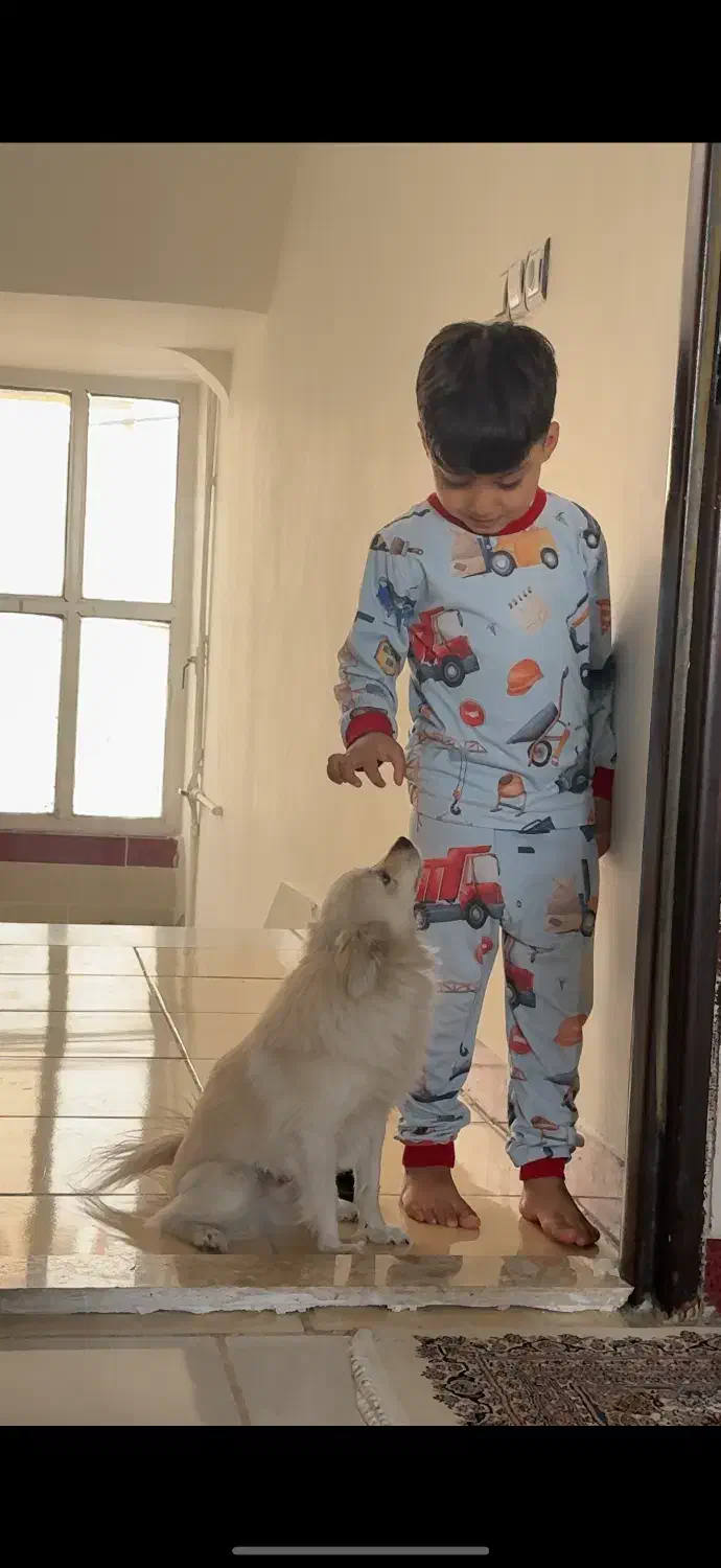 سگ خانگی|سگ|کرمانشاه, |دیوار