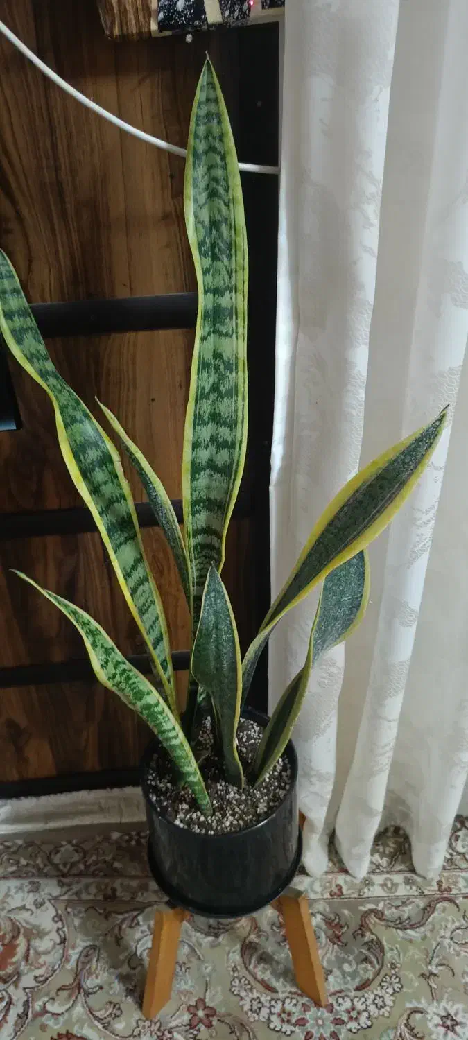 وسایل منزل|حراج|چناران, |دیوار