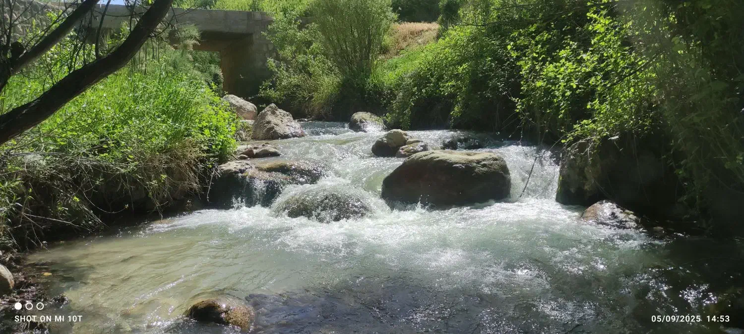 امور خدماتی و اداری|خدمات مالی، حسابداری، بیمه|اصفهان, جوزدان الیادران|دیوار