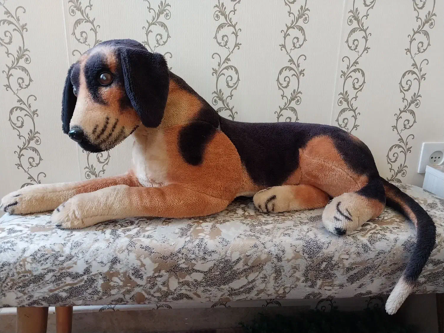 اسباب بازی موزیکال|اسباب‌‌بازی|سهند, |دیوار