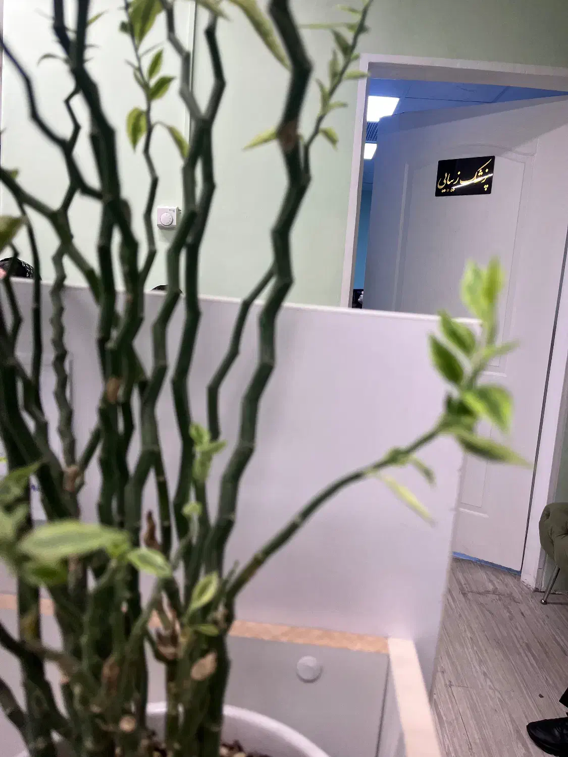 ویزیتور و بازاریاب برای کلینیک زیبایی|استخدام درمانی، زیبایی، بهداشتی|کرمان, |دیوار