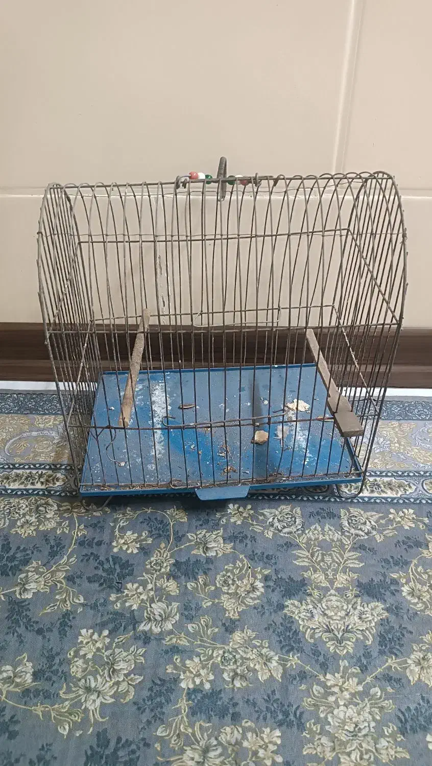 3 عدد قفس پرنده سالم|لوازم جانبی حیوانات|اهواز, زرگان|دیوار