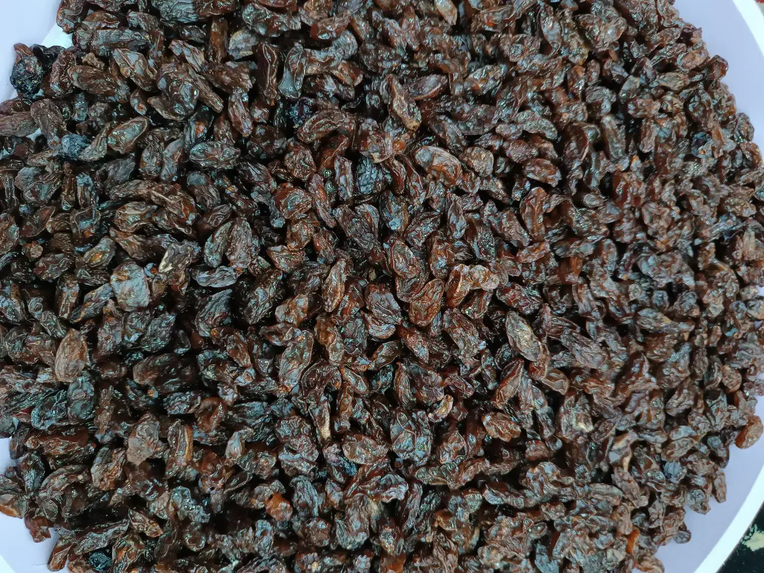 مویز خانگی|خوردنی و آشامیدنی|شیراز, شهرک فرهنگیان|دیوار