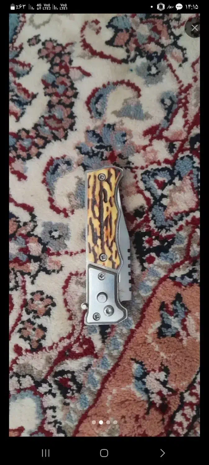 کبوتر اگهی رو بخون|پرنده|الشتر, |دیوار