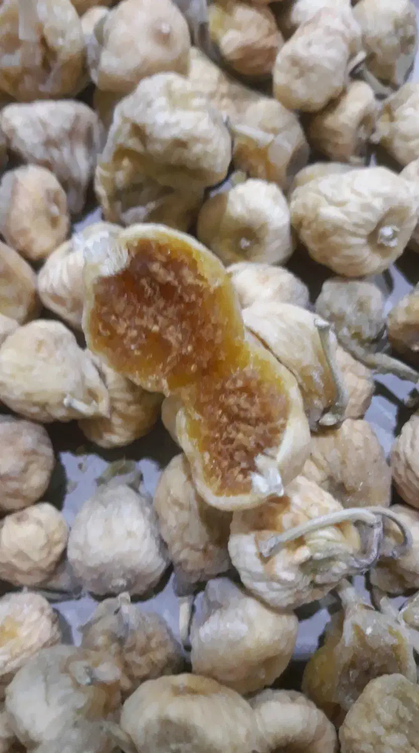 انجیر خشک کاشمر|خوردنی و آشامیدنی|مشهد, امام خمینی|دیوار