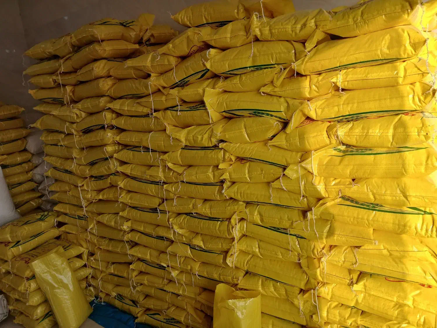 برنج عنبربو امسال کتوند|خوردنی و آشامیدنی|گتوند, |دیوار