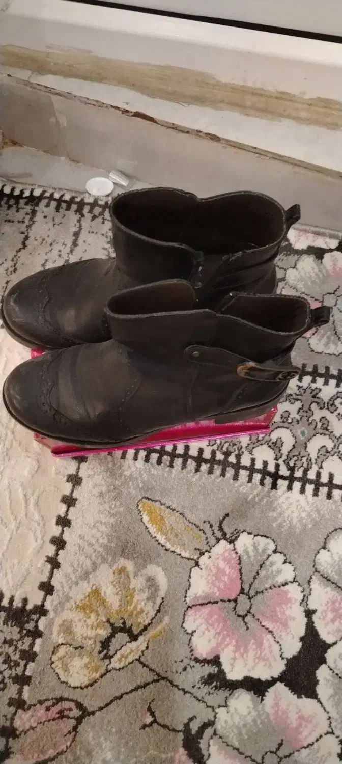 کفش|کیف، کفش، کمربند|بوشهر, |دیوار