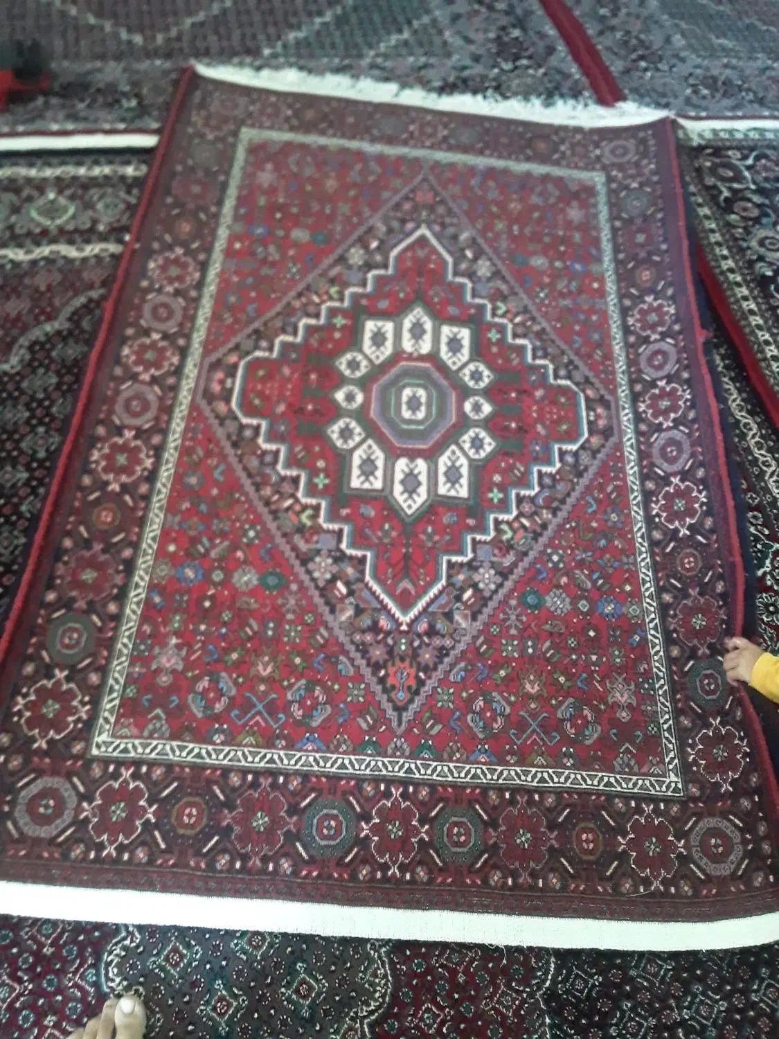 فرش زنیم|فرش|زنجان, |دیوار