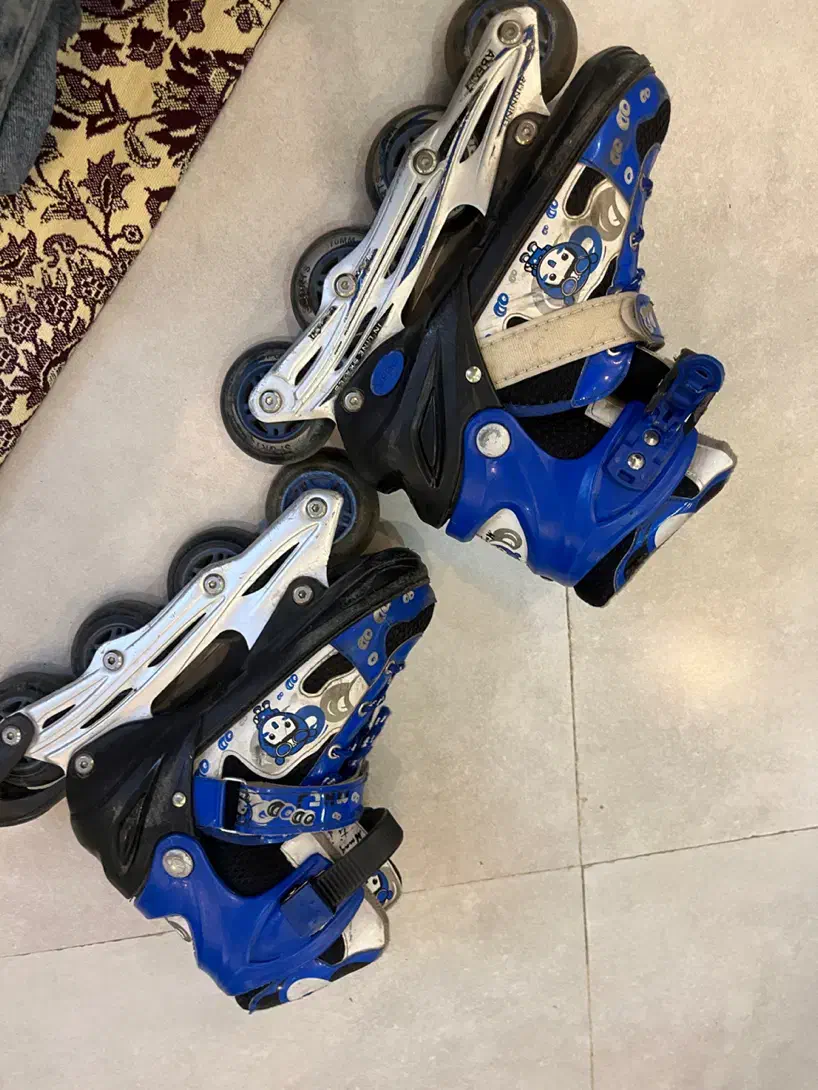 کفش اسکیت|دوچرخه، اسکیت، اسکوتر|ری, صفاییه (چشمه علی)|دیوار