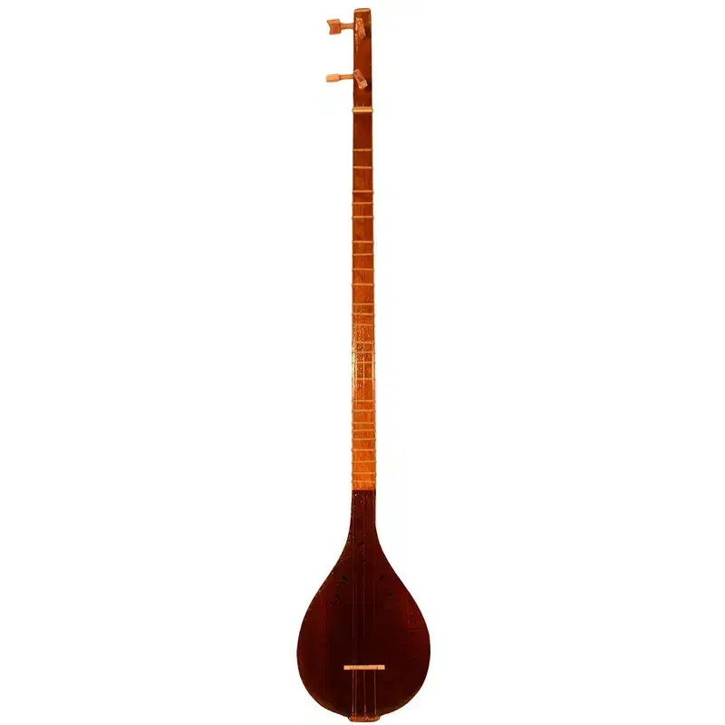 سه تار معمولی|سازهای سنتی|بیرجند, |دیوار