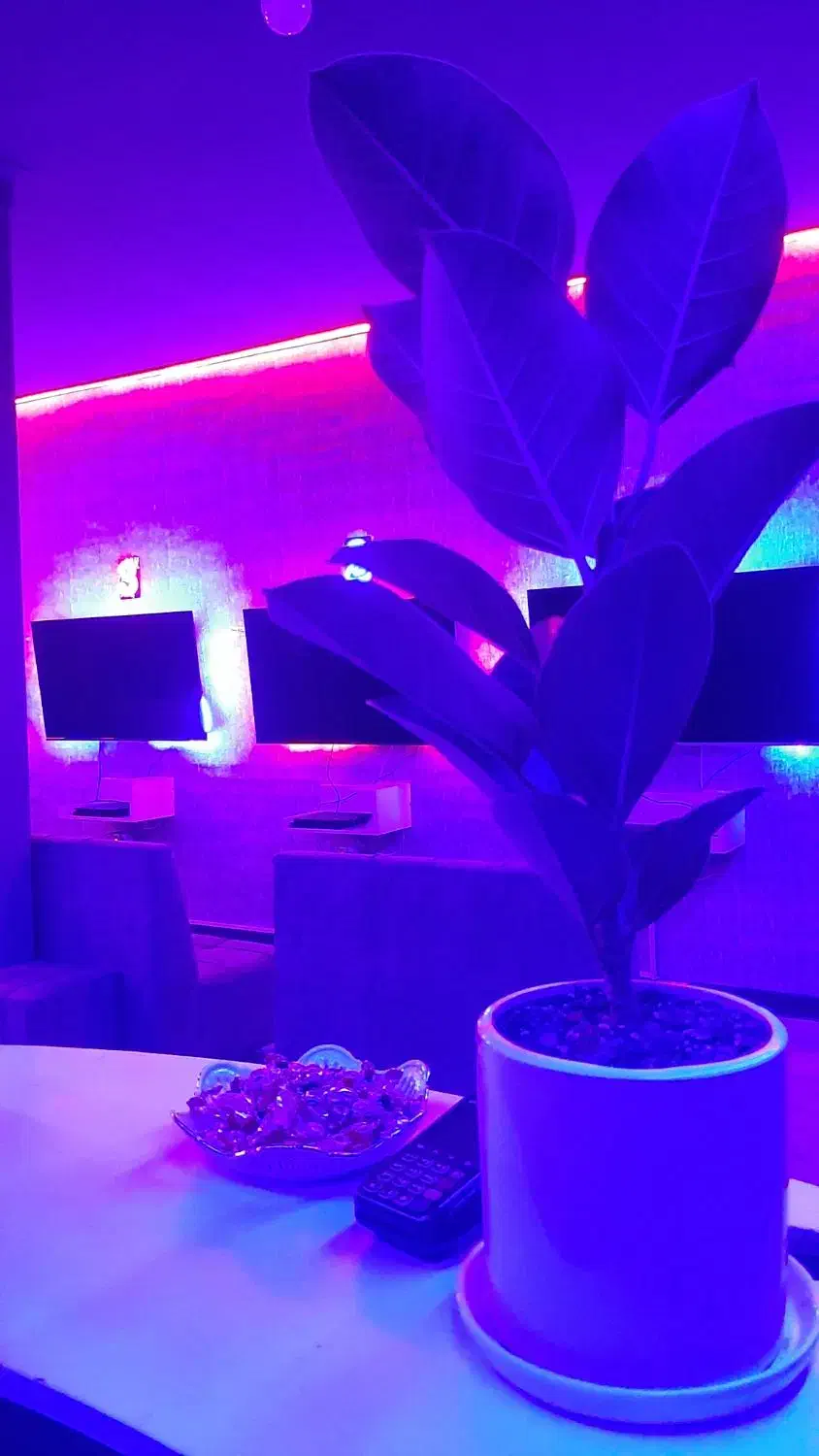 گیم نت گاما|کنسول، بازی ویدئویی و آنلاین|سمنان, |دیوار