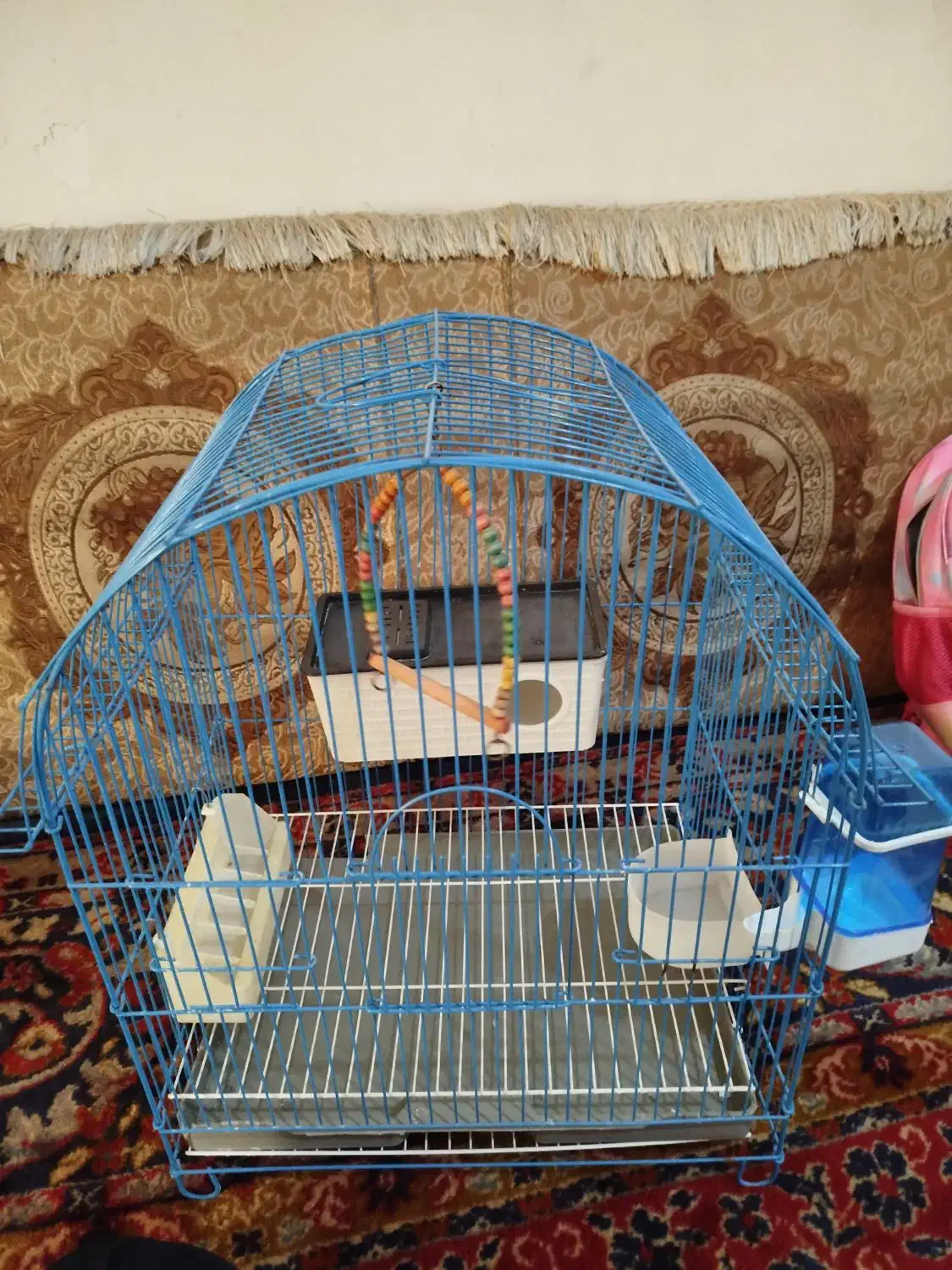 قفس پرنده|لوازم جانبی حیوانات|پاکدشت, پاکدشت (مامازند)|دیوار