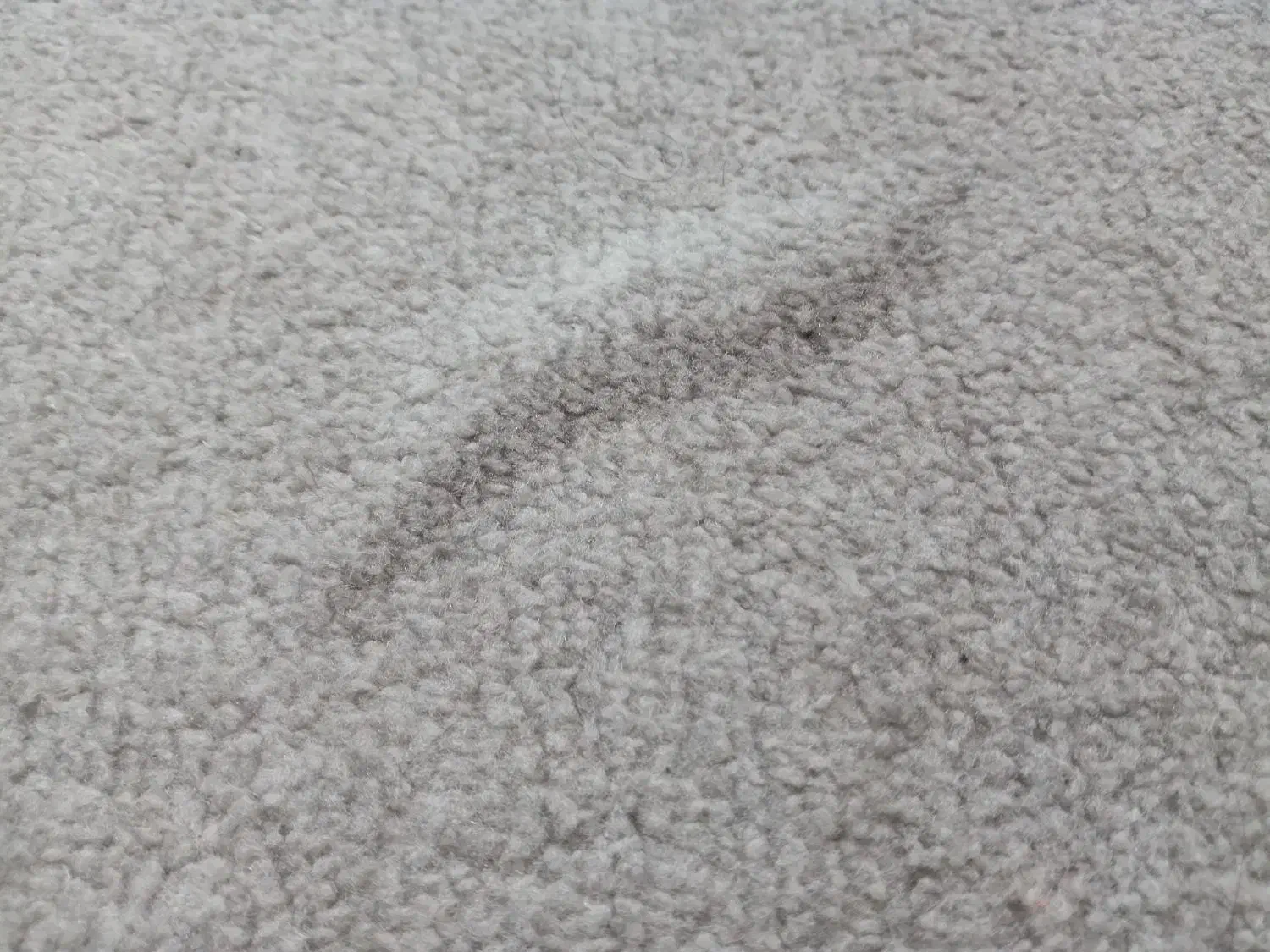 پالازموکت طوسی|موکت|ورامین, ورامین|دیوار