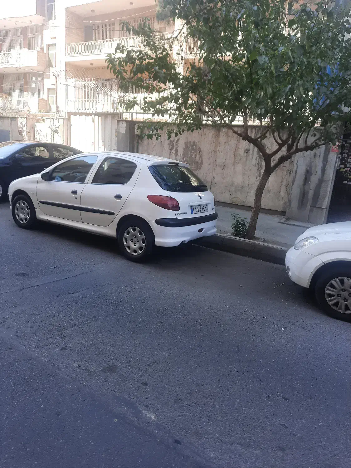 فروش کلنگی خیابان فرصت نرسیده به آزادی 216 متر|فروش زمین و ملک کلنگی|تهران, نصرت|دیوار