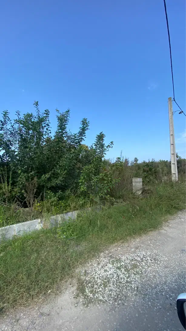 ۲۳۱متر زمین بافت زرد شهرکی پروانه دار در همت آباد|فروش زمین و ملک کلنگی|شیرود, |دیوار