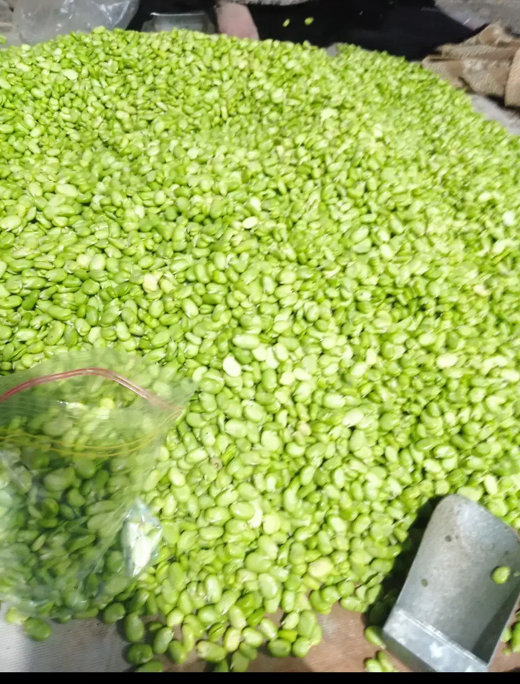 باقالی ونخود|خوردنی و آشامیدنی|شهریار, شهرک بهاران (ویره)|دیوار