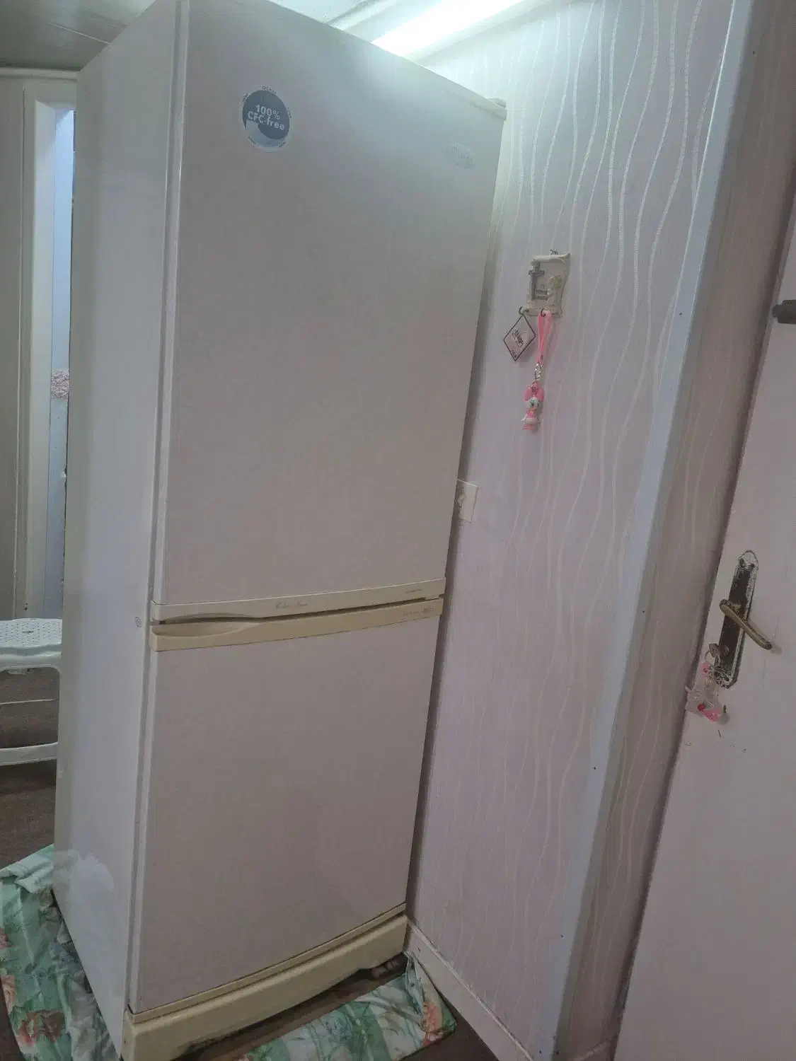 یخچال و فریزر سلین|یخچال و فریزر|بندرعباس, |دیوار