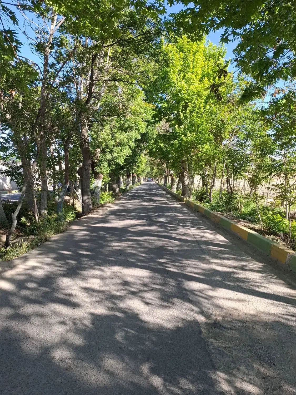 دوتا مغازه ۵۰ متری جهت واگذاری یا مشارکت|اجارهٔ مغازه و غرفه|رباط‌کریم, نوده|دیوار