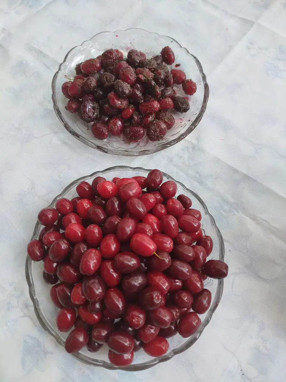 رب زغال اخته|خوردنی و آشامیدنی|محمدیه-قزوین, |دیوار