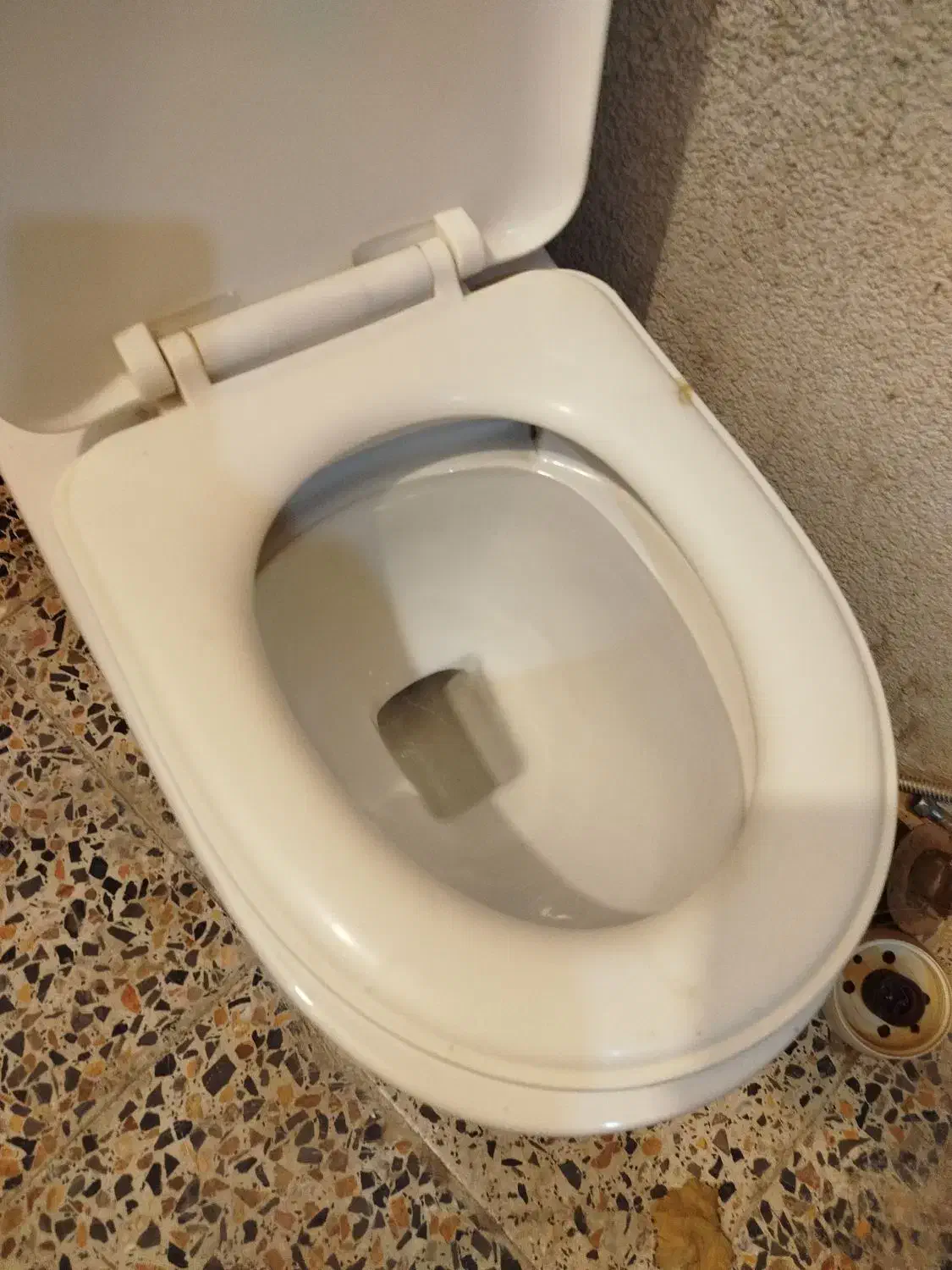 توالت فرنگی سالم و تمیز|لوازم سرویس بهداشتی|بروجرد, |دیوار