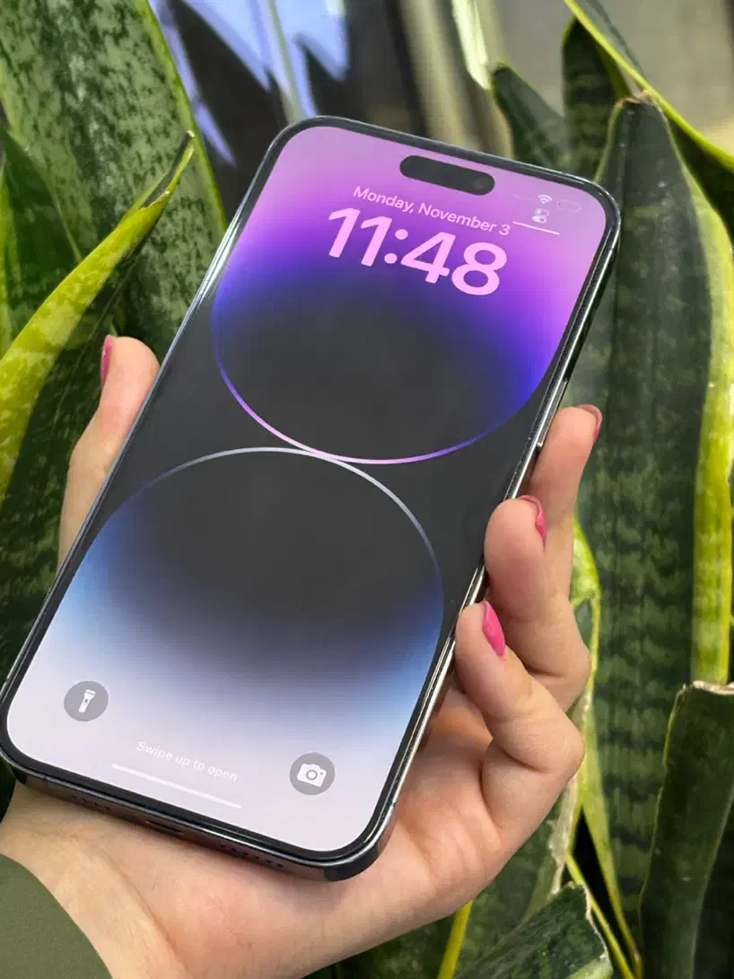 Purple 14 mx دوربین عالی با طلا و بتا|موبایل|اصفهان, احمدآباد|دیوار