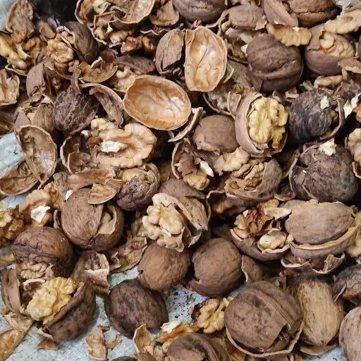 گردوتازه|عمده‌فروشی|آذرشهر, |دیوار