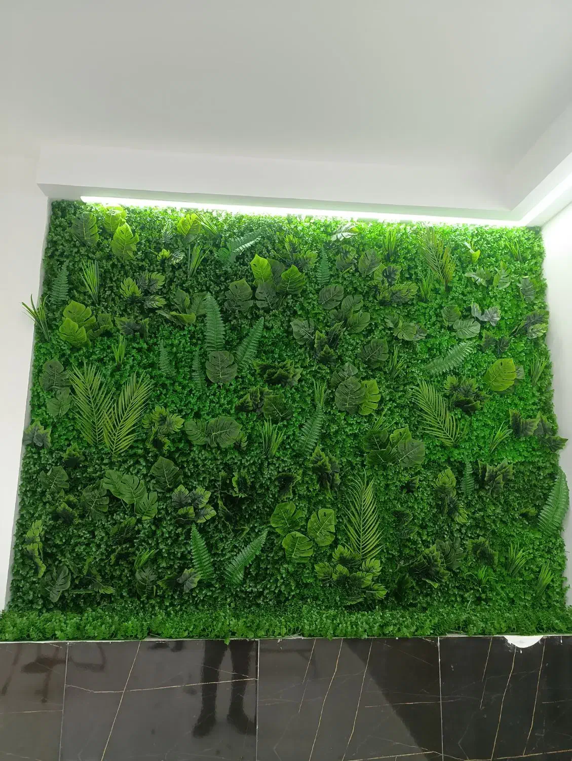 گرین وال و فنس برگی|مصالح و تجهیزات ساختمان|اهواز, آریاشهر|دیوار