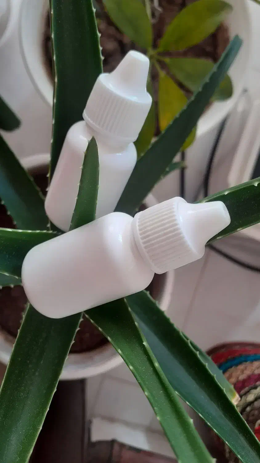 پخش محلول شپش.پودرمعجزه گر.پودرنوره|آرایشی، بهداشتی، درمانی|اردبیل, |دیوار