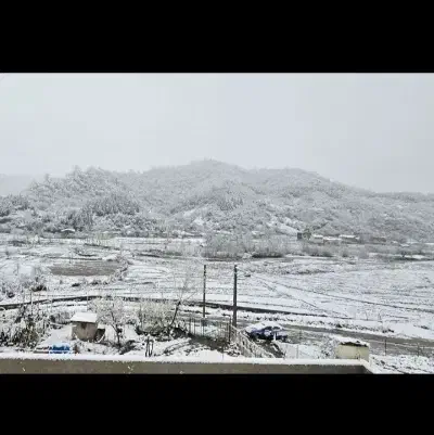 زمین 300 متر مسکونی کوهپایه جنگلی در شهر لیسار|فروش زمین و ملک کلنگی|لیسار, |دیوار