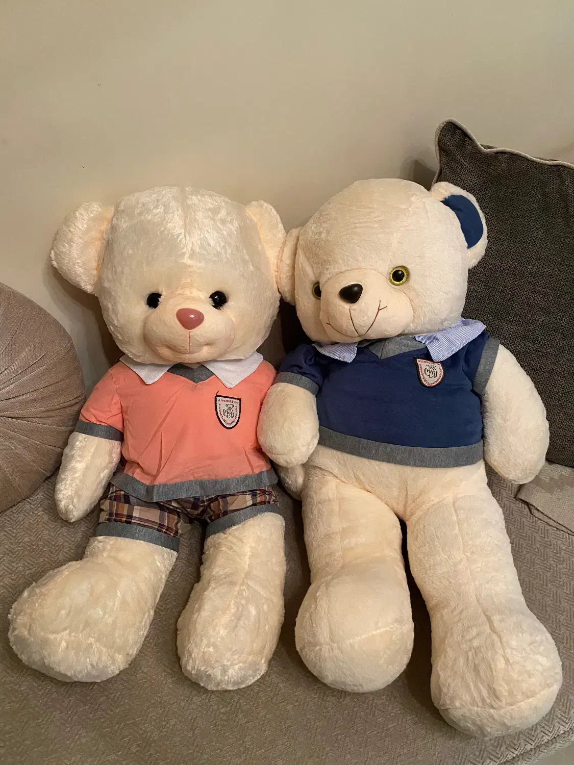 خرس تدی|اسباببازی|تهران, بنیهاشم|دیوار