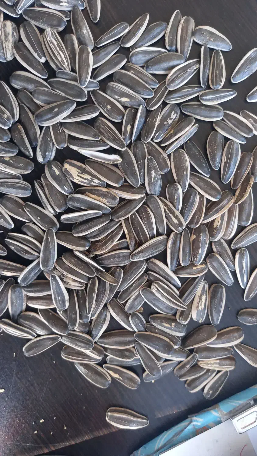 خرید و فروش تخمه افتاب و کدو|خوردنی و آشامیدنی|محمدبار, |دیوار