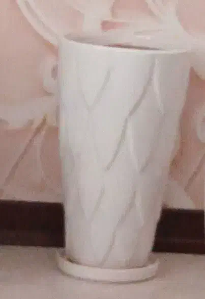 گلدان بزرگ سرامیکی|گل و گیاه طبیعی|قم, باغ کرباسی|دیوار