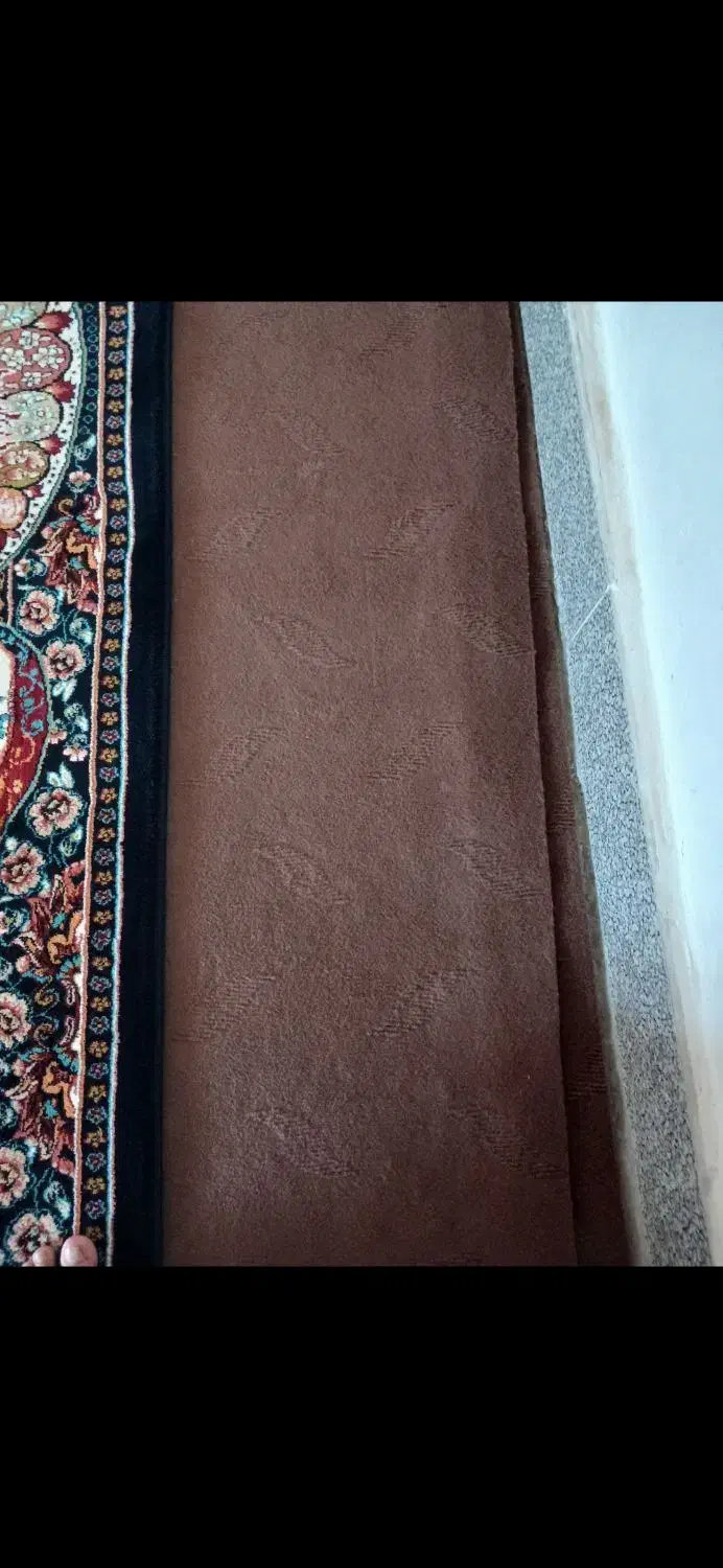 موکت|موکت|مشگین شهر, |دیوار