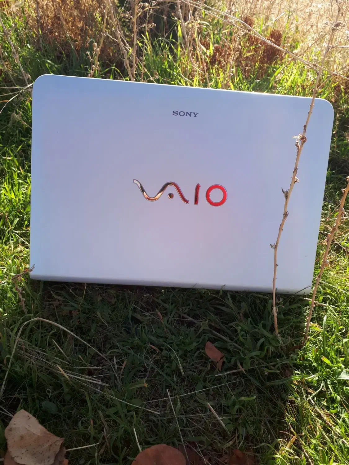 لپ تاپ در حد صفر|رایانه همراه|مریوان, |دیوار