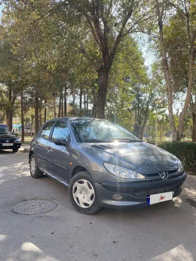 206 tu5 موتور nfu موتور سالم و عالی پر شتاب|خودرو سواری و وانت|اصفهان, برازنده|دیوار