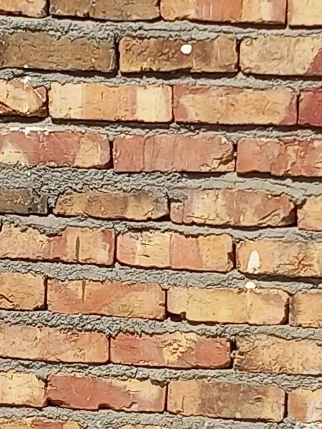 بنا کاشی کار|خدمات پیشه و مهارت|زابل, |دیوار