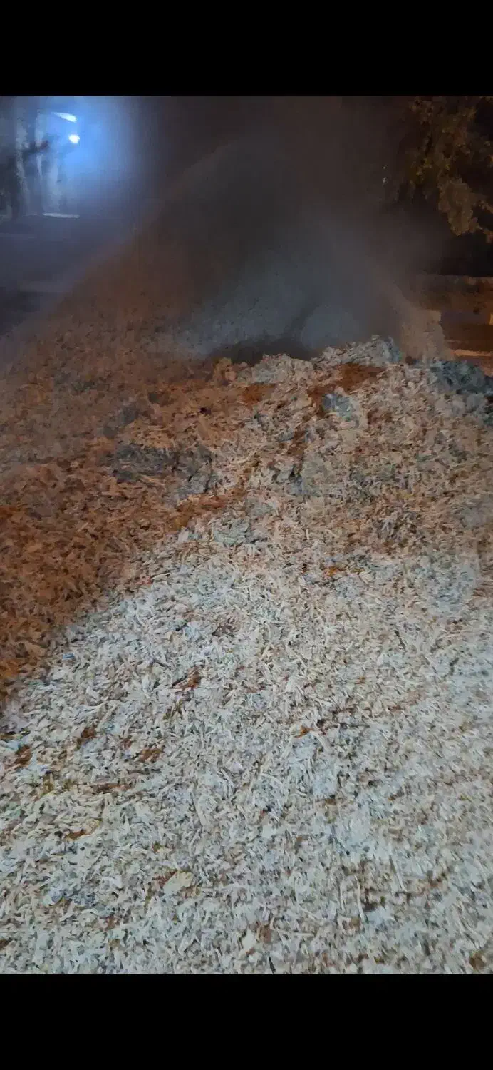 فروش تفاله|حیوانات مزرعه|سبزوار, قصبه غربی|دیوار