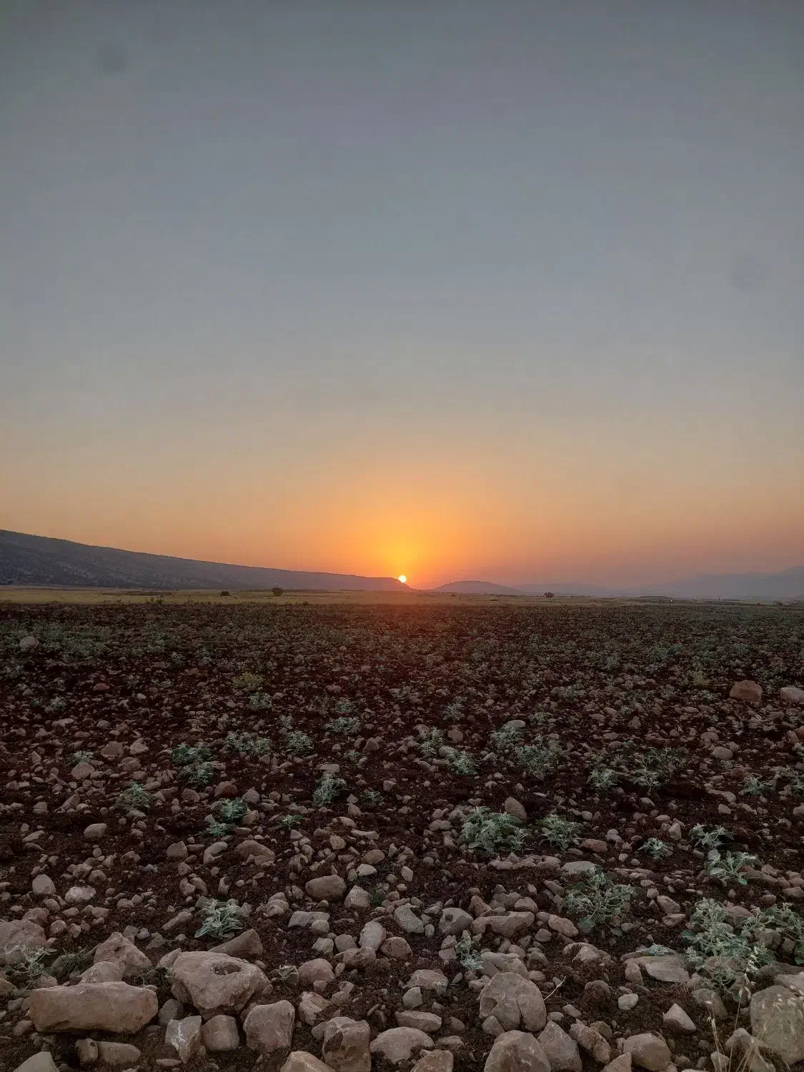 ۳۰ هزار متر زمین کشاورزی دارای سند|فروش زمین و ملک کلنگی|ایوان, |دیوار