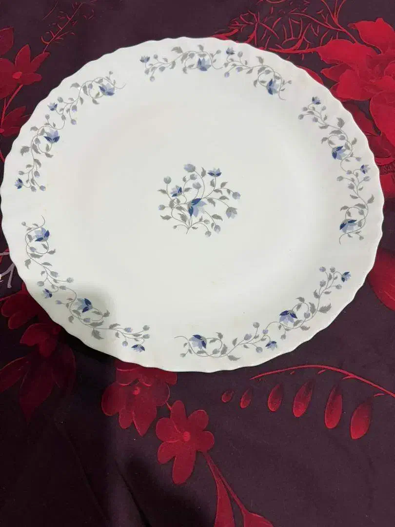 ظروف پذیرایی|ظروف سرو و پذیرایی|تهران, نیکنام|دیوار