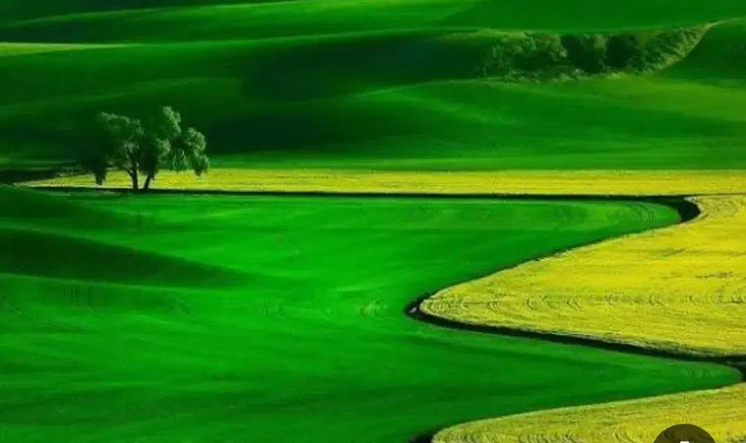 زمین|فروش زمین و ملک کلنگی|مبارکه, |دیوار