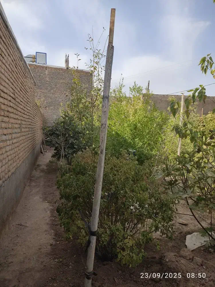 مغازه و باغ در منظر|فروش مغازه و غرفه|تربتحیدریه, منظر|دیوار