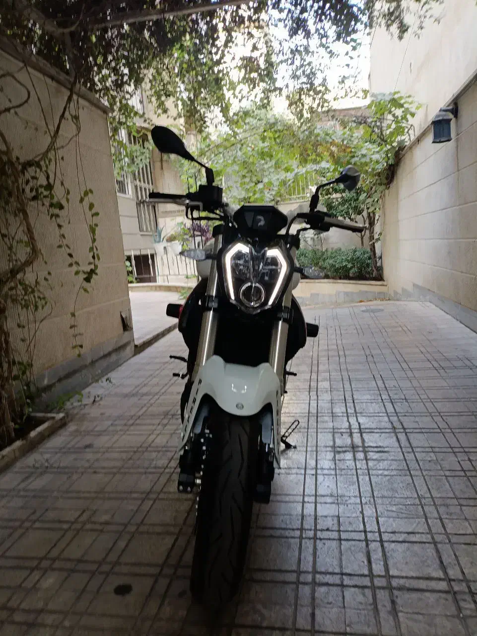 بنلی ۲۵۰ جفت بنلی ۳۰۰|موتورسیکلت|قم, ارم|دیوار