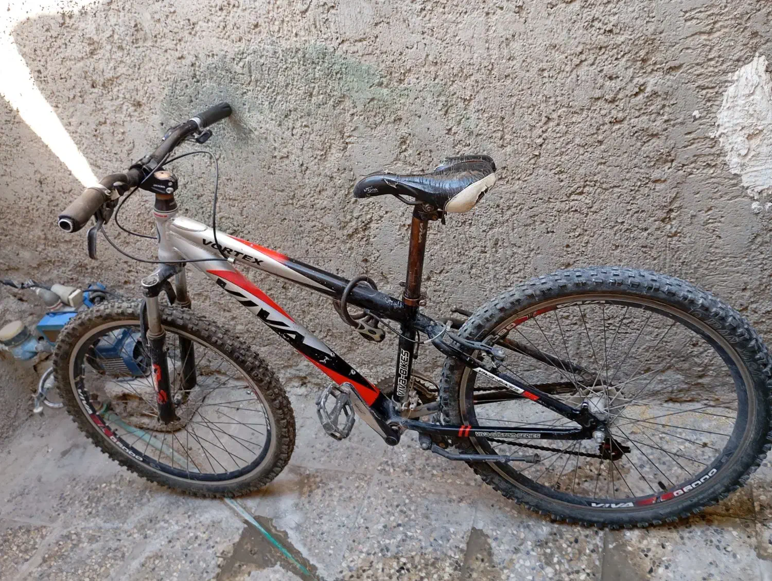 دوچرخه 26 ویوا سالم|دوچرخه، اسکیت، اسکوتر|بوشهر, |دیوار