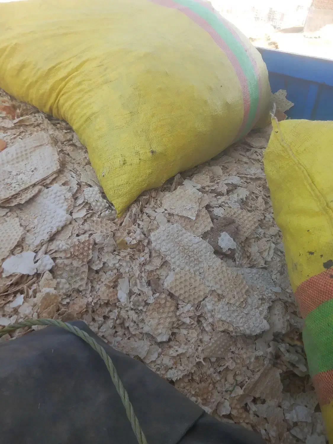 نان|لوازم جانبی حیوانات|بکتاش, |دیوار