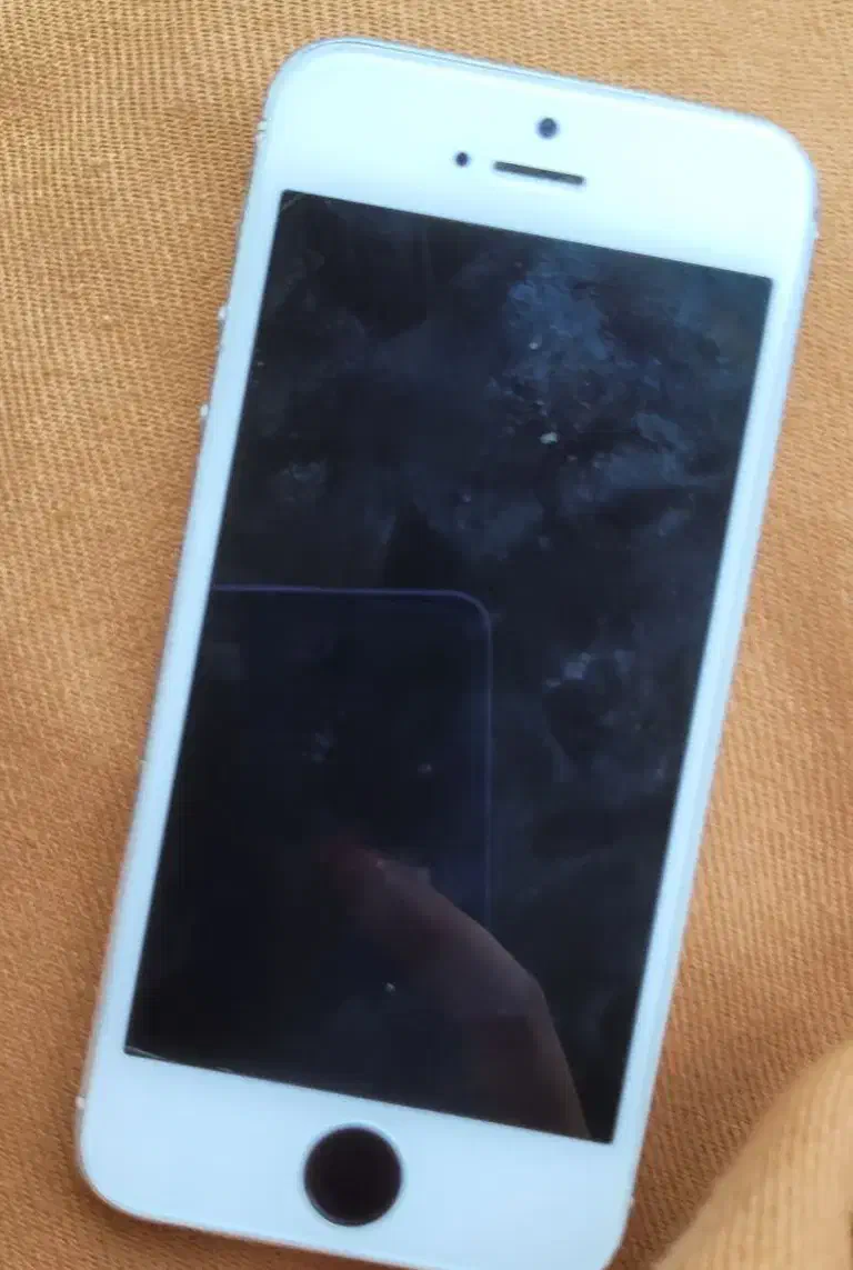 iPhone 5s|موبایل|شیراز, اصلاح‌نژاد|دیوار