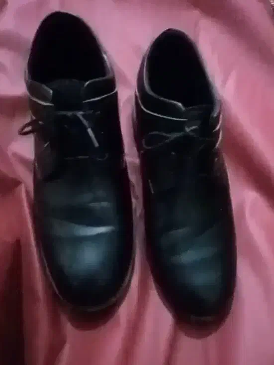 خرده ریزی خانه|حراج|قوچان, |دیوار