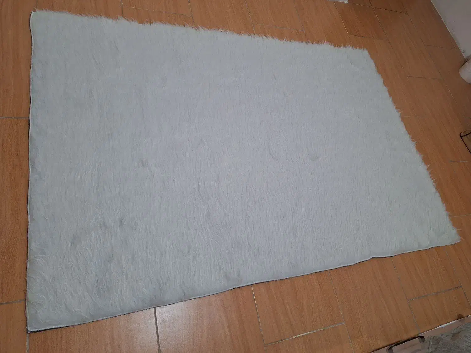 فرش فانتزی  پرز بلند اتاق خواب و آشپزخانه|فرش|نیشابور, فردوس شمالی|دیوار