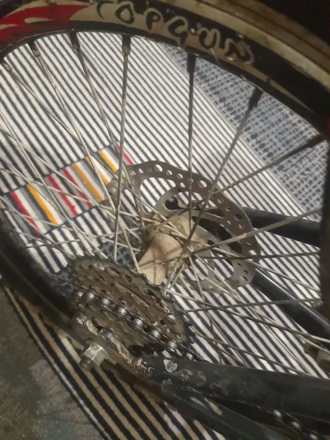 سلام دوچرخه ۲۰|دوچرخه، اسکیت، اسکوتر|خان ببین, |دیوار