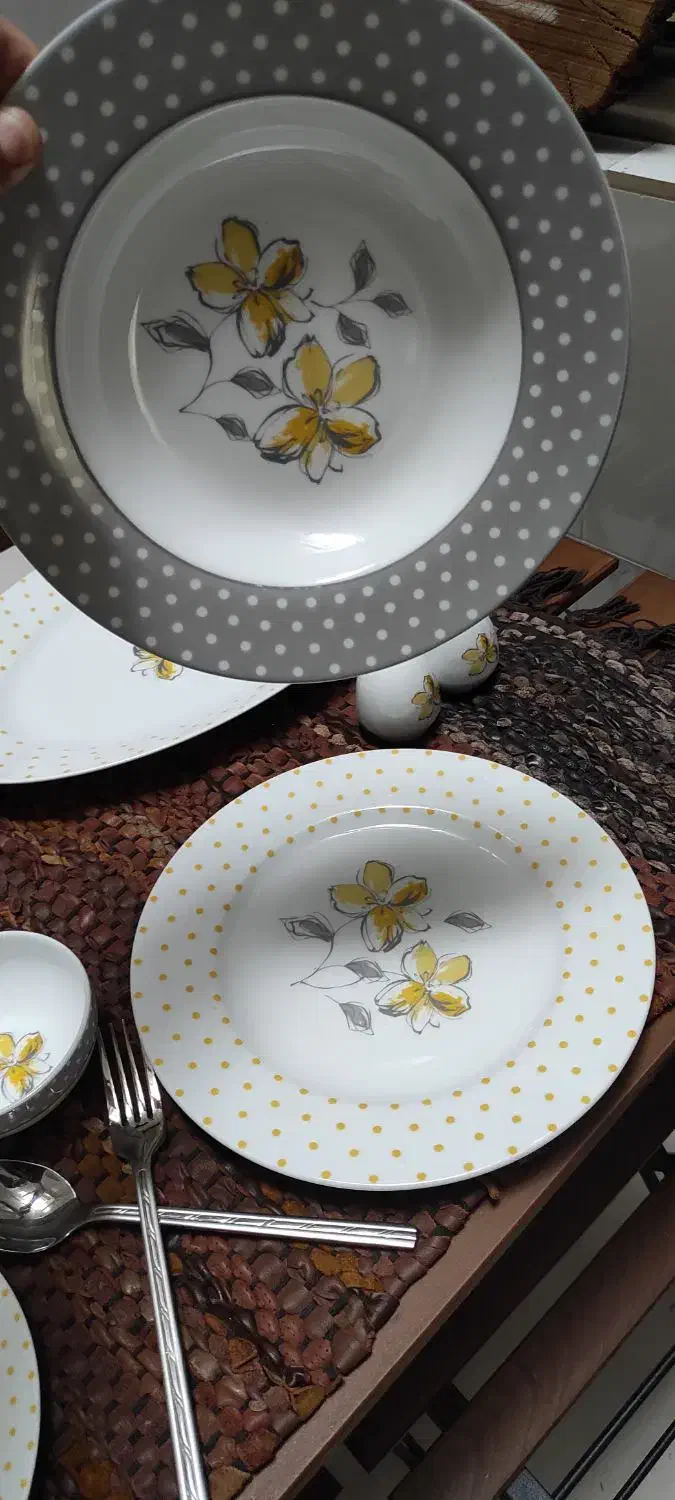 ظروف غذا خوری|ظروف سرو و پذیرایی|سنندج, |دیوار