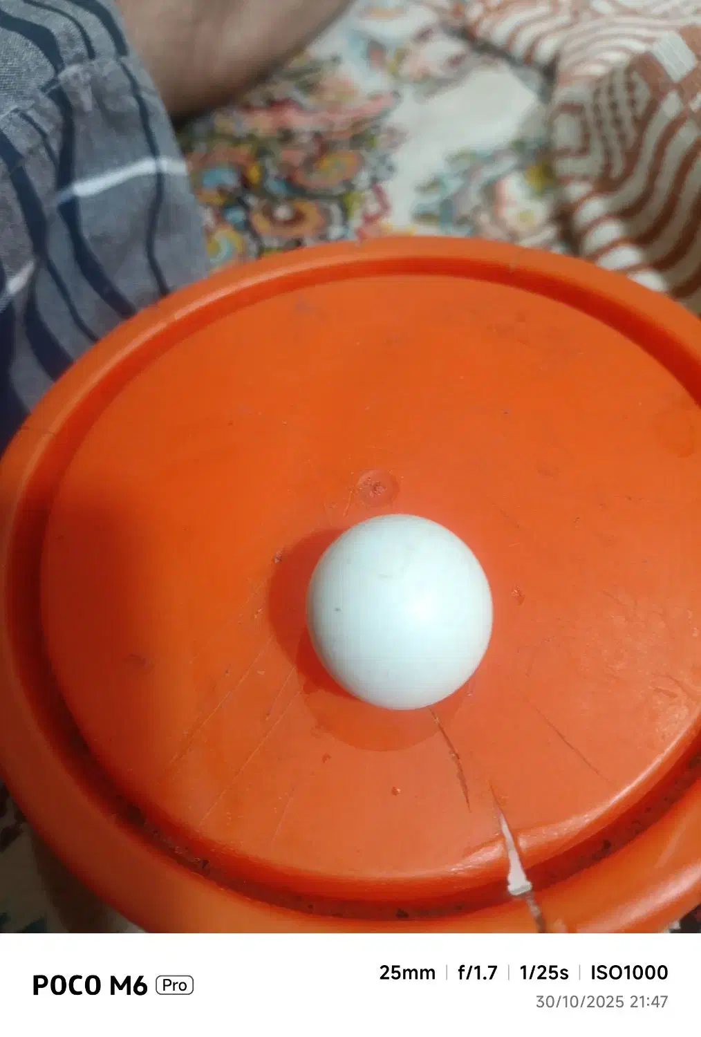 سنگ اسیاب|کلکسیون اشیاء عتیقه|دماوند, دماوند|دیوار